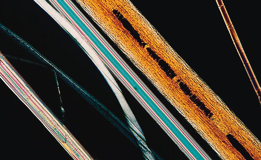 Textile fibers under polarized light.
