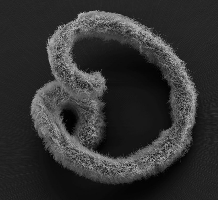 Nematode-Eubostrichus-dianae-with-ectosymbiotic-bacteria-layer-Courtesy-of-Mag.-N.-Leisch-University-of-Vienna-Austria