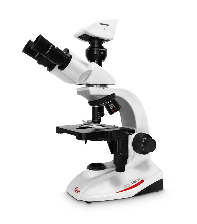 Leica DM300 compound microscope with open binocular tube for camera connection