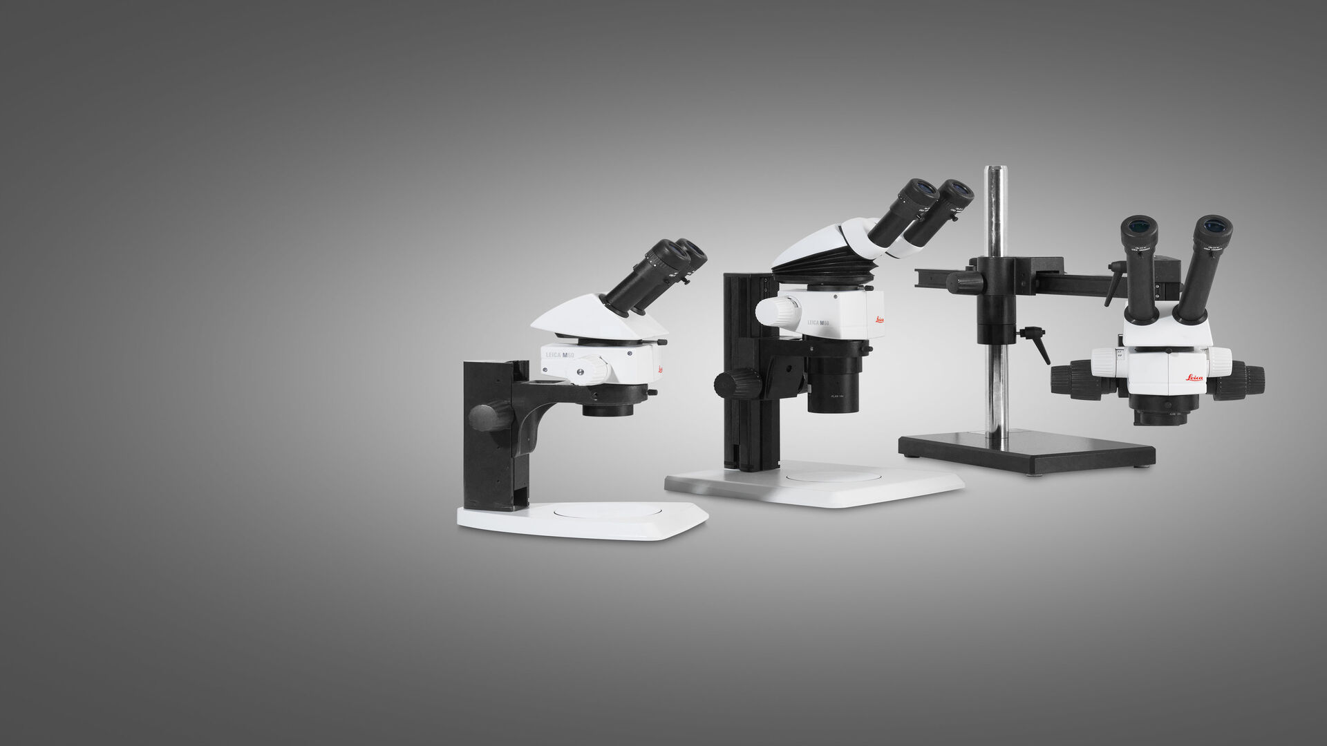 M50, M60 & M80 体视显微镜| 产品| 徕卡显微系统