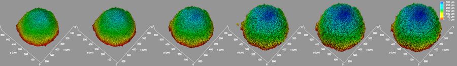 用抗癌药物AZD2014处理的细胞球的3D体积渲染光片显微镜图像，显示不同颜色的深度编码。