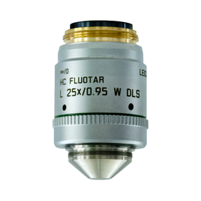 HC FLUOTAR L 25x/0,95 W DLS