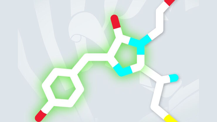 [Translate to chinese:] Dronpa chromophore